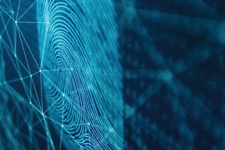 fingerprint stock image